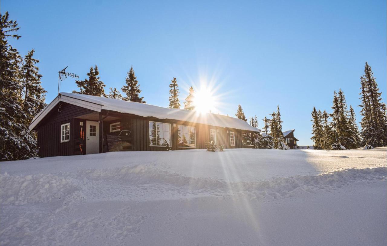 Lovely Home In Sjusjoen With Kitchen Eksteriør billede